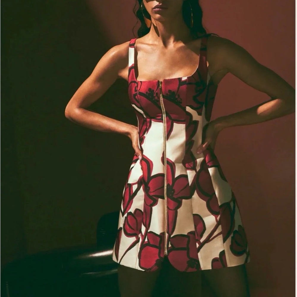 Alexis Claire Mini Dress - Picture 2 of 5